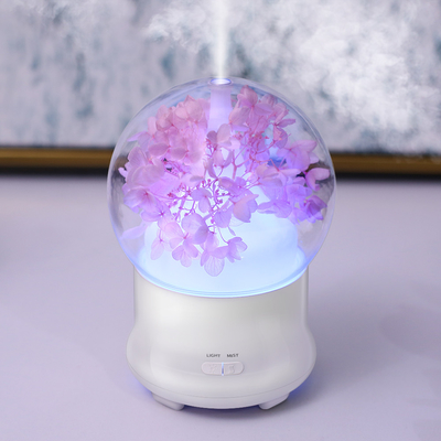 Humidificador fresco do ar da névoa da capacidade ultrassônica portátil do difusor 100ml do óleo do aroma
