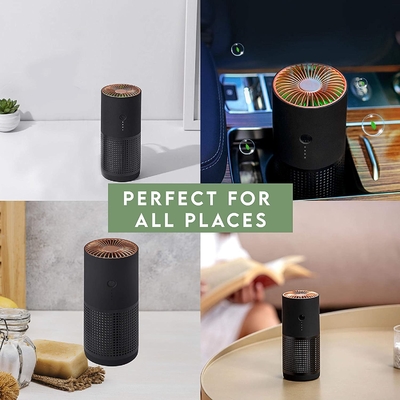 Fumo negativo das alergias do pólen de H13 H12 HEPA Ion Portable Air Purifier For