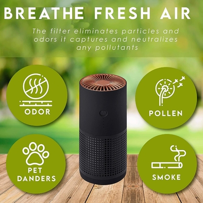 Fumo negativo das alergias do pólen de H13 H12 HEPA Ion Portable Air Purifier For